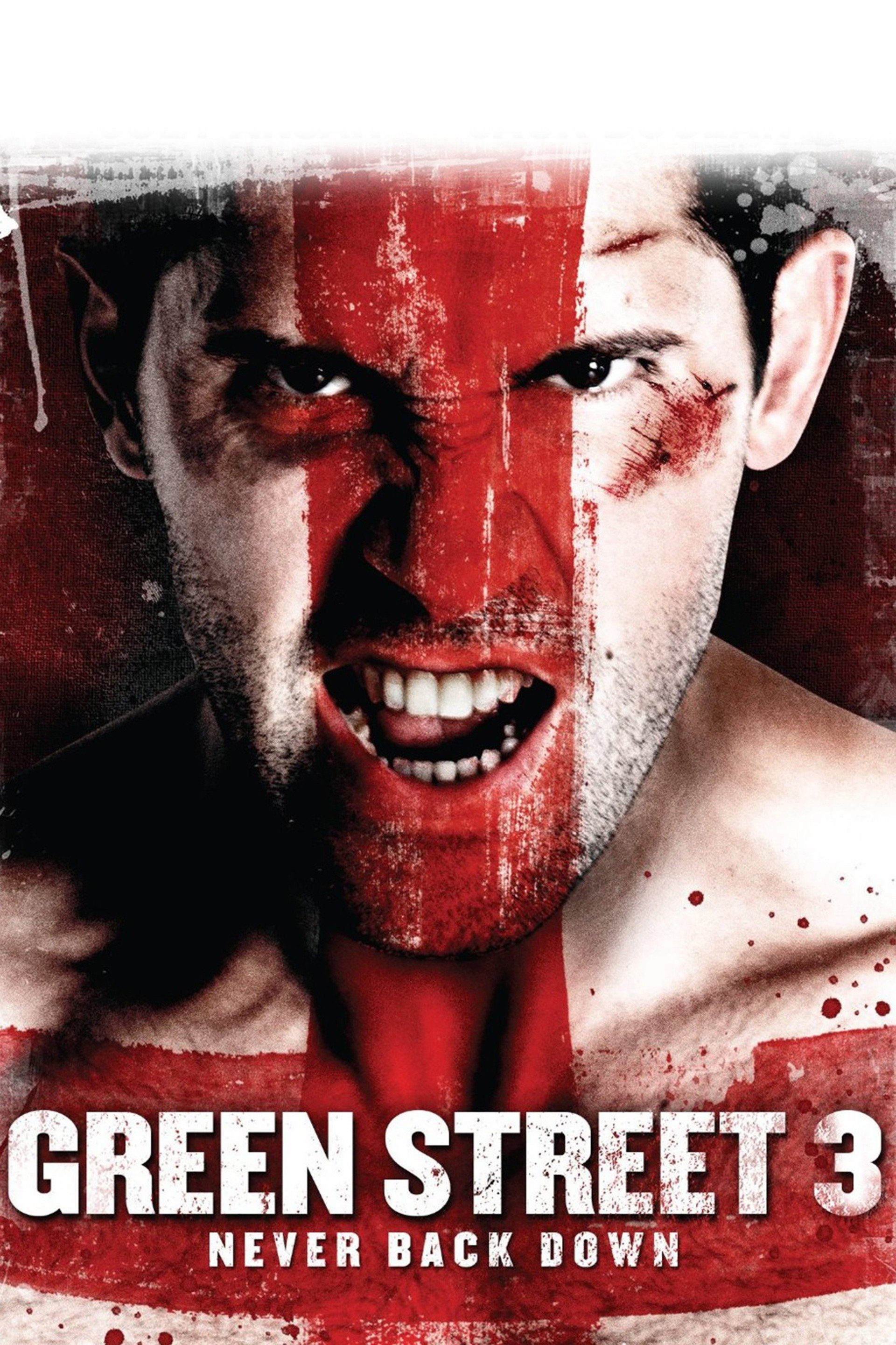 Green Street 3 Never Back Down (2013) [73723] (A1772150184) [[Movies 2.0]] --Plex--